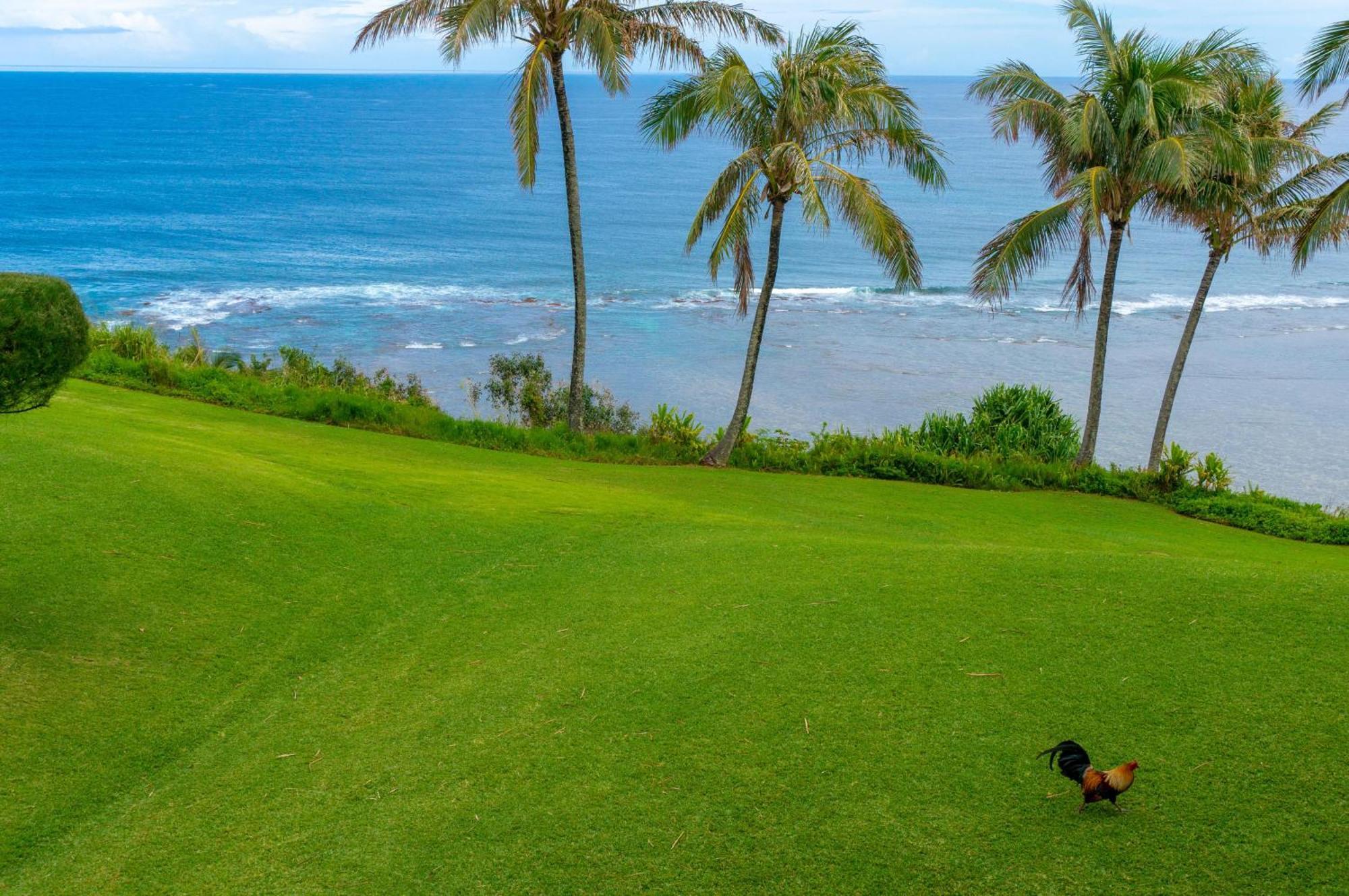 Sealodge J9 Princeville Kültér fotó